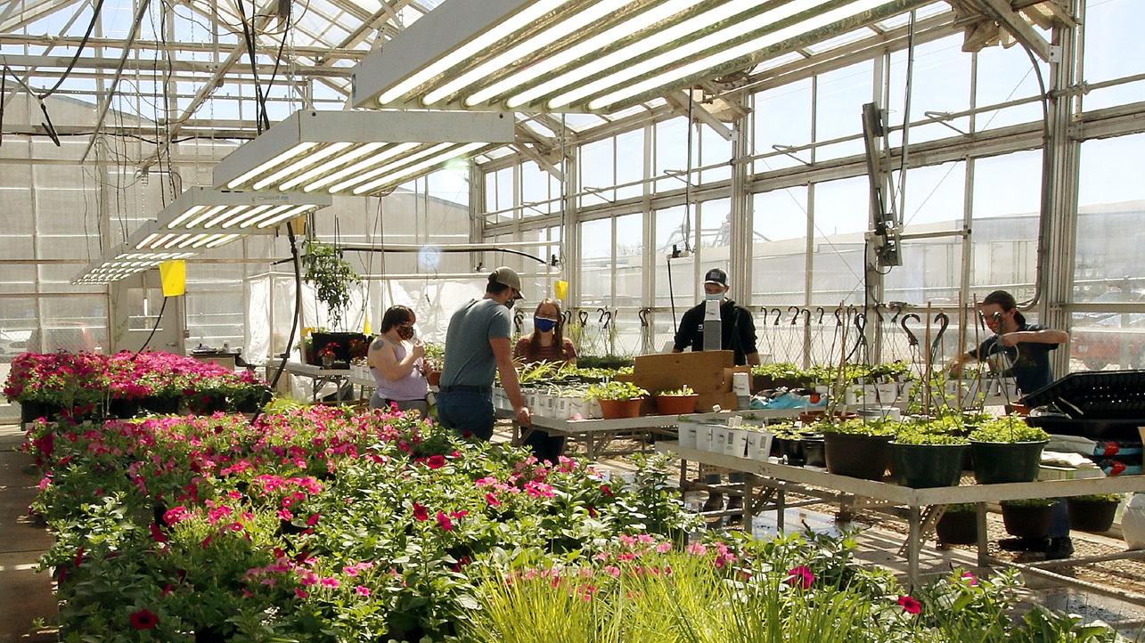 greenhouse with students