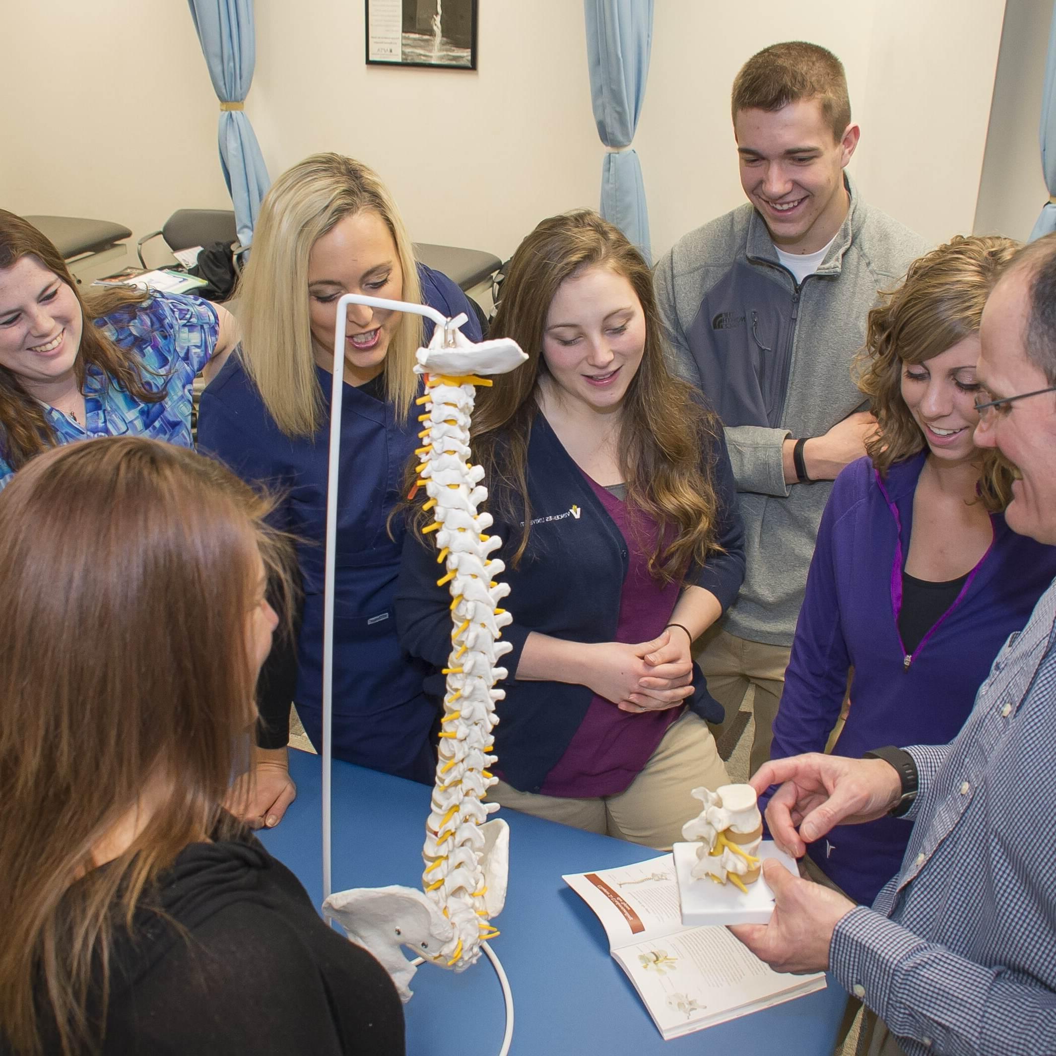 一位大学教授正在向他的学生展示人体脊柱的不同部分