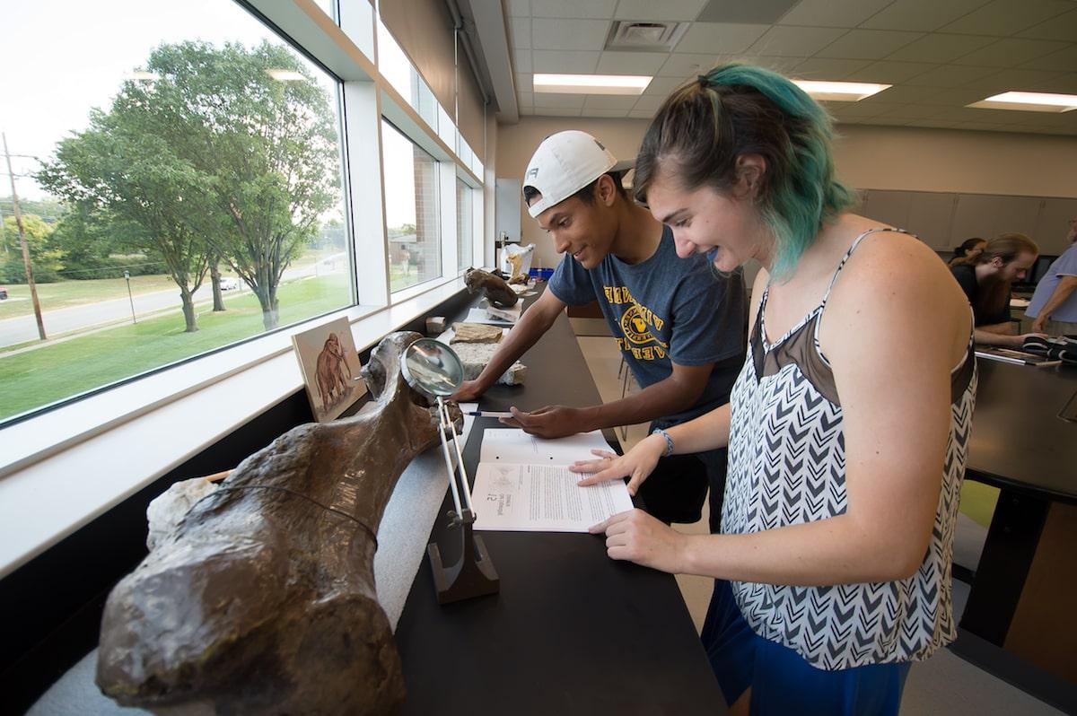 地球科学专业的学生正在检查一大块骨头